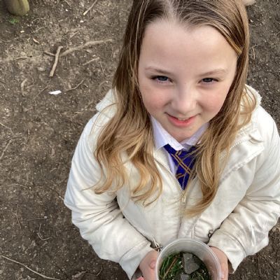 Forest School Spring Term 2025